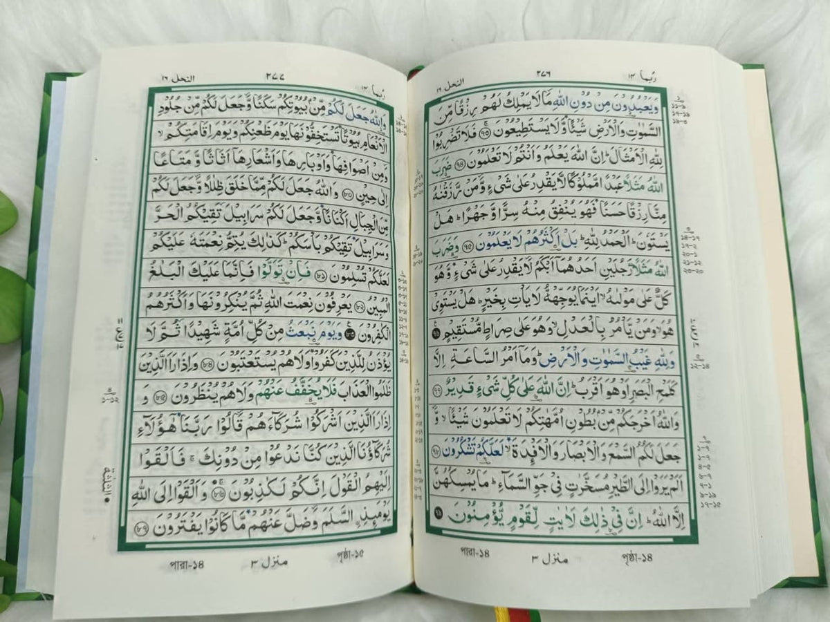 তাহফীযুল কুরআনিল কারীম